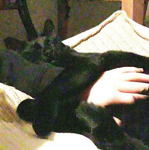 Meet your Posher, Beth